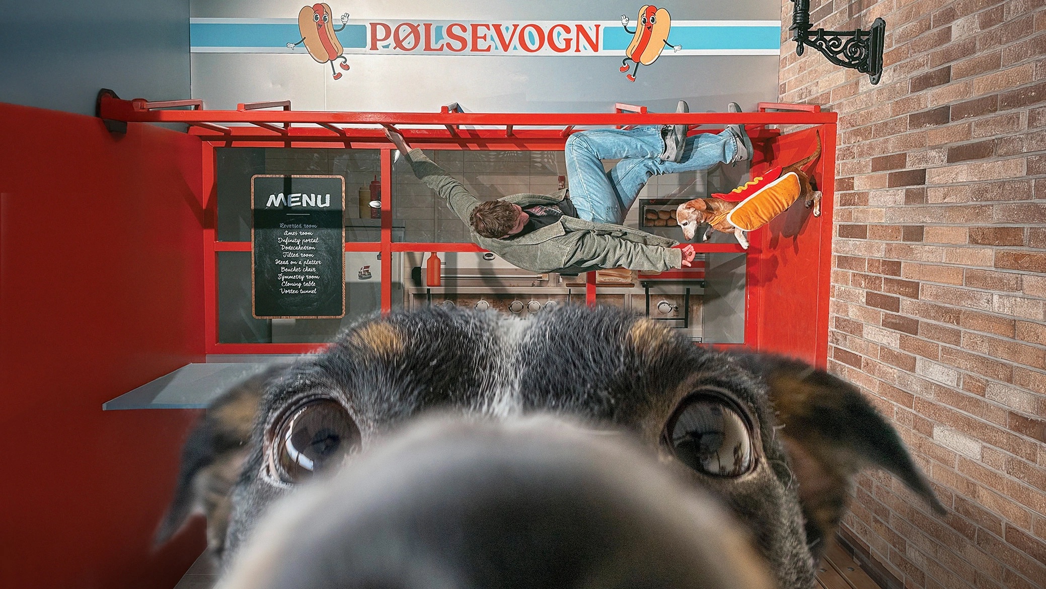 Dog-friendly events in Copenhagen this summer: three experiences you won't want to miss